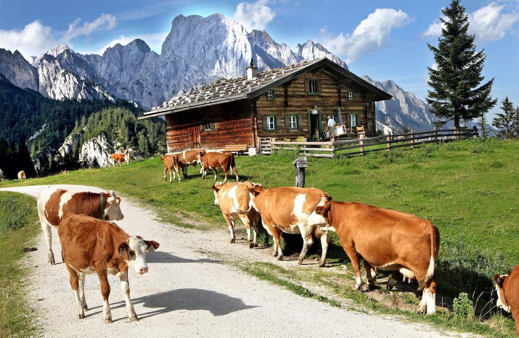 Ferienwohnungen Schweinoester Lofer Bagian luar foto