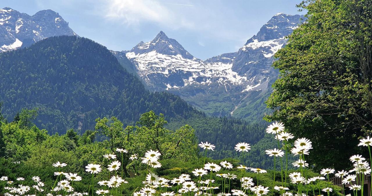 Ferienwohnungen Schweinoester Lofer Bagian luar foto